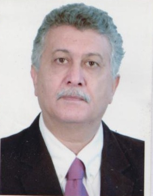 سید حسین بلوری